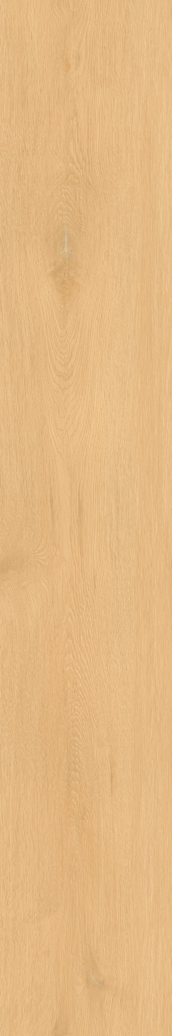Regency Oak – Scone