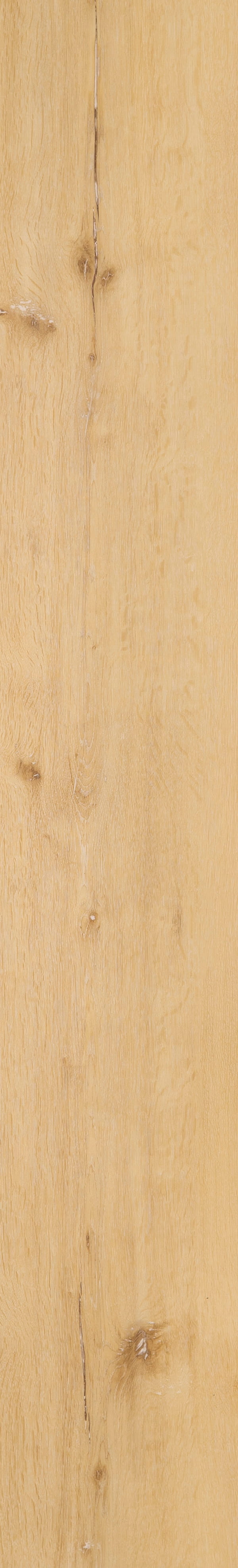Riverside Oak – Sunshine