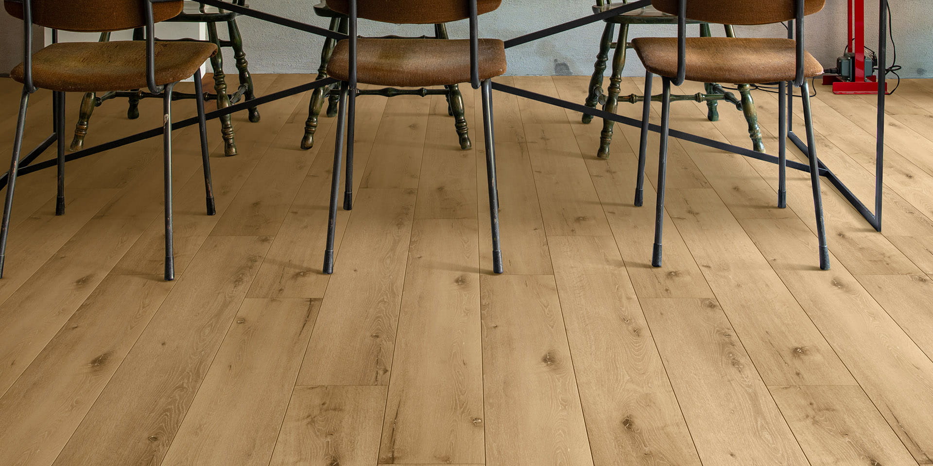 Riverside Oak – Sunshine
